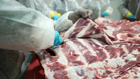 The butcher cuts the meat from the bone with a sharp knife Stock Footage 238453566