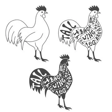 Butcher cuts scheme of chicken Stock Illustration
