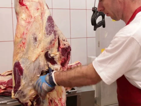 Butcher cutting beef brisket Video stock 41459722