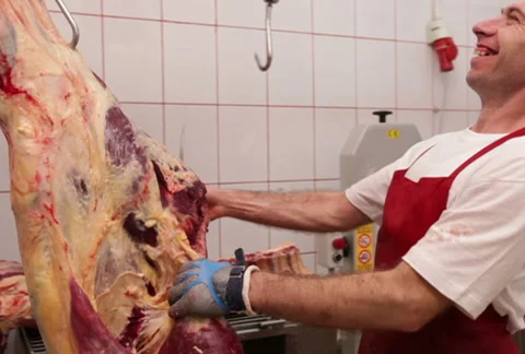 Butcher cutting beef flank Stock-Footage 41459803