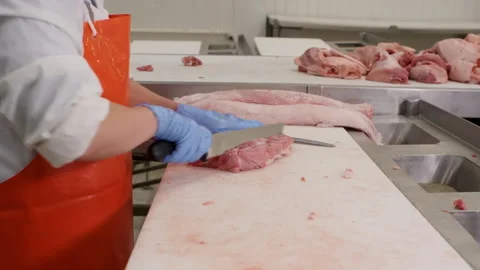 Butcher cutting pork meat for preparing meat products on industrial factory. Stock Footage 246328745