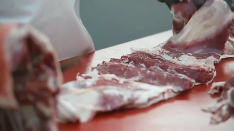 Butcher cutting pork primal meat cuts 스톡 동영상 317246341