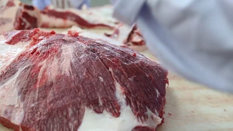 The butcher cutting raw meat beef in slaughterhouse. Stock Footage 93444381