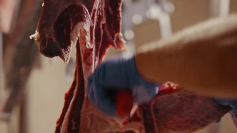 Butcher cutting a section from a piece of meat Stock Footage 274598867