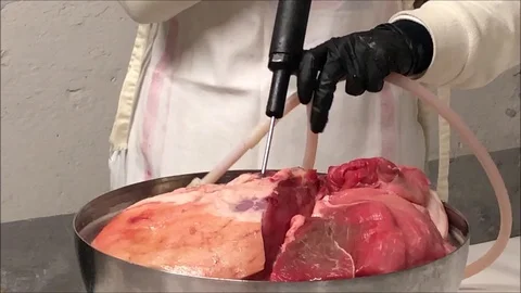 Butcher flavoring ham with injenction, typical products of italy Stock Footage 101626076