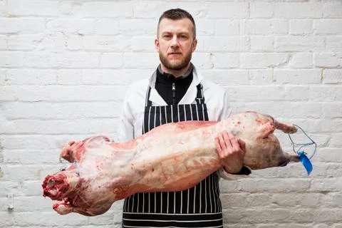 A butcher holding a complete prepared lamb meat carcass for cutting into smaller Stock Photos