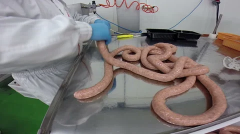 Butcher Making Fresh Sausages Stock Footage 59368470