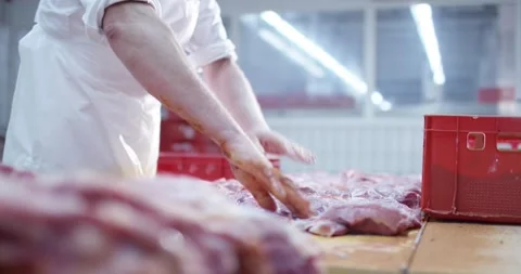 Butcher pressing raw meat flat with both hands on a work table in a meat 動画素材 339989189