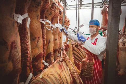 Butcher sticking barcode stickers on string in storage room Stock Photos