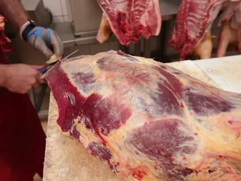 Butcher trimming beef carcass Video stock 41459666