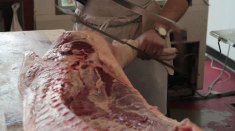 Butcher uses hack saw on pork 2 Stock Footage 42231549