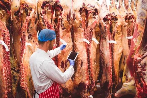Butcher using digital tablet while checking the barcode sticker on the meat Stock-Fotos