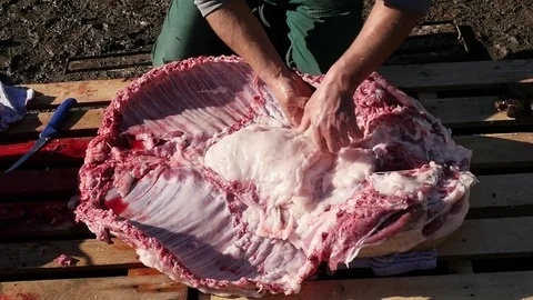 Butcher who pulls fat from the belly pig  Stock Footage 70690957