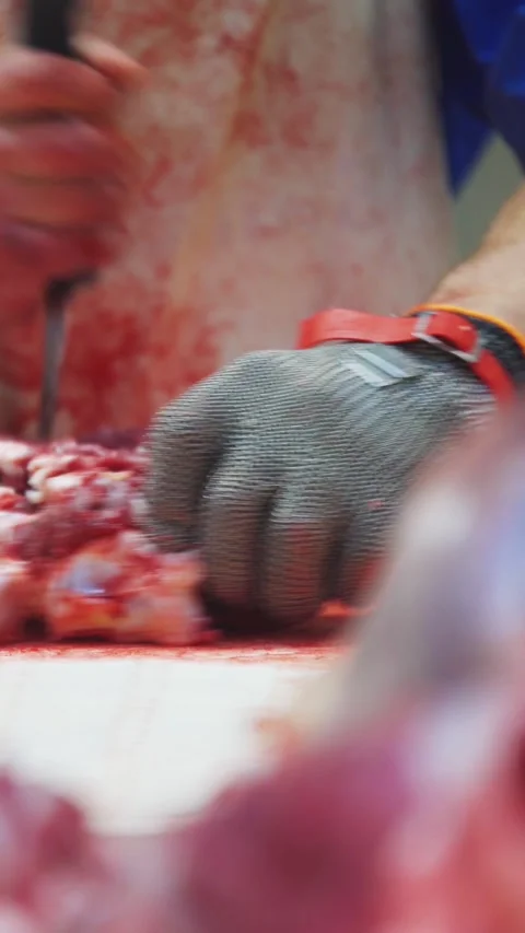 Butcher at Work A Fascinating CloseUp Look at Meat Processing Practices and Stock Footage 316891902