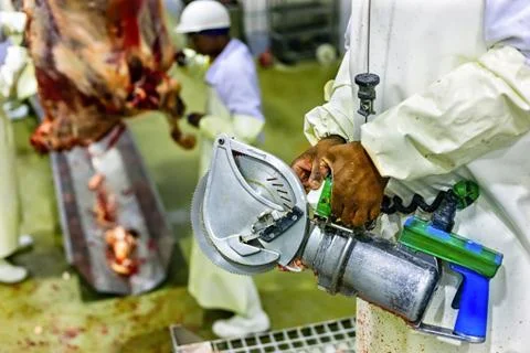 Butcher working Fotos Stock