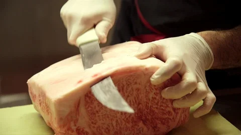 Butchering Meat Vídeo Stock 103231850