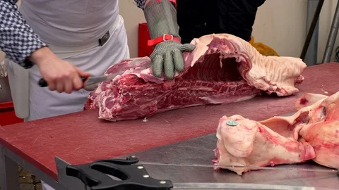 Butchering a pig Stock Footage 86190977