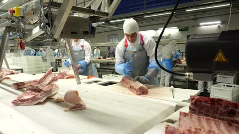 Butchering of pork carcasses at meat processing factory Stock Footage 286234500