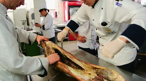 Butchering sheep Stock Footage 48172840