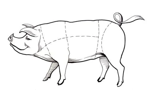 Butcher's chart Stock Illustration