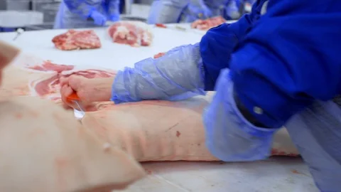 Butchers cut pork at the meat processing plant in the cutting shop. Stock-Footage 129579776