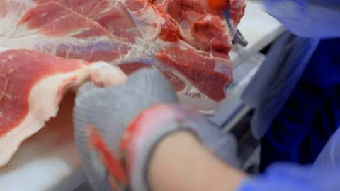Butchers cut pork at the meat processing plant in the cutting shop. Stock-Footage 129579804