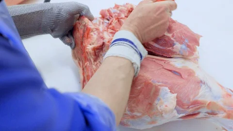 Butchers cut pork at the meat processing plant in the cutting shop. Stock-Footage 129579852