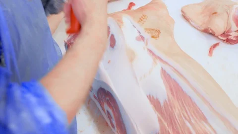 Butchers cut pork at the meat processing plant in the cutting shop. Stock-Footage 129579906
