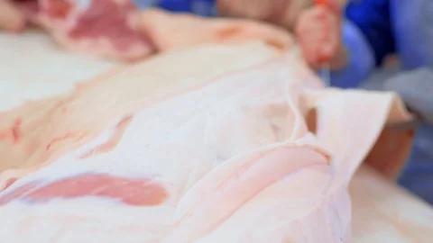 Butchers cut pork at the meat processing plant in the cutting shop. Stock-Footage 129579962
