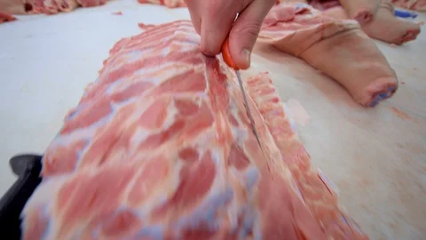 Butchers cut pork at the meat processing plant in the cutting shop. Stock-Footage 129579990