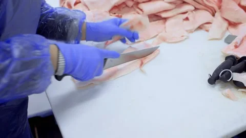 Butchers cut pork at the meat processing plant in the cutting shop. Stock-Footage 130709030
