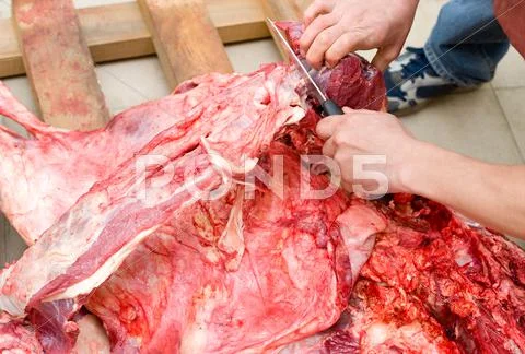 Butchery Stock Photos