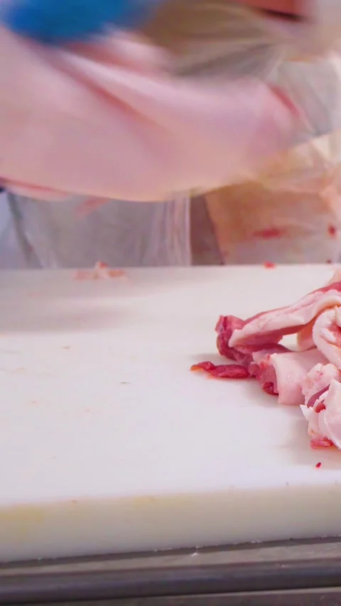The Butchery Process in a Meat Factory involves the systematic cutting and Stock-Footage 316891963