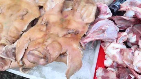 Butchery Process of Poultry Stock Footage 281056072