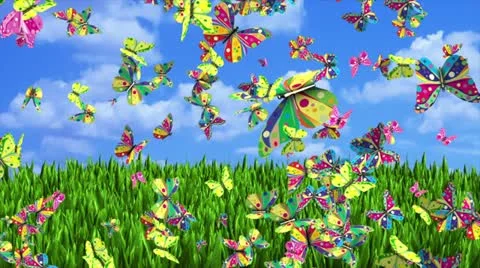 Buterflies in grass Stock Footage 12135102