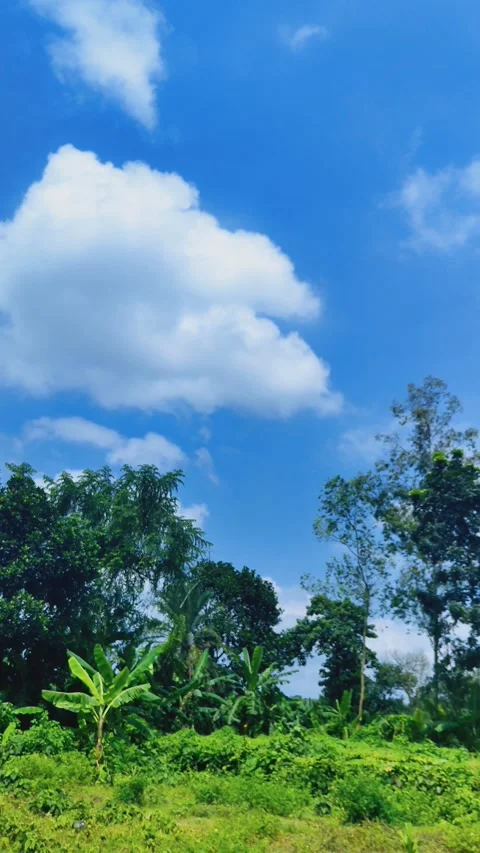 Butiful moment 🫶🥰 / butiful place 스톡 동영상 315624519