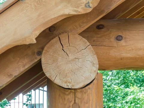 The butt of a round sawn tree built arbor in yard Stock Photos