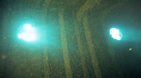 Butter fly fish play inside the ship wreck Stock Footage 22733819