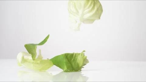 Butter Lettuce Leaves Bouncing Slow Motion White Tabletop Closeup Macro Food Stock Footage 335004631