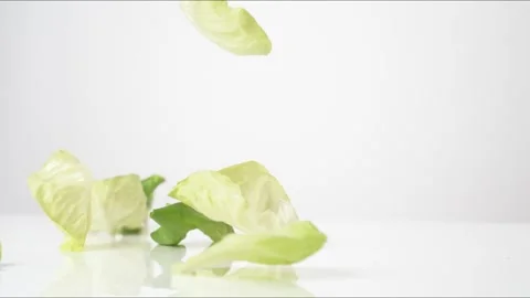 Butter Lettuce Leaves Bouncing Slow Motion White Tabletop Closeup Macro Food Stock Footage 335004992