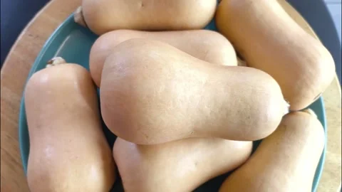 Butter nut Stock Footage 334119193