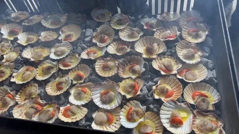 Butter sizzles, scallops grill in the shell on hot coals at seafood BBQ Video stock 281049183