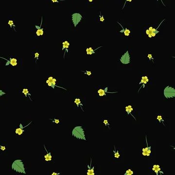 Buttercup floral seamless pattern design, black backgound Stock Illustration