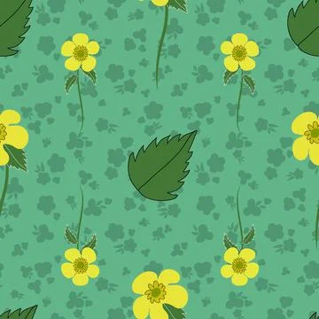 Buttercup floral vector seamless pattern design background Stock Illustration