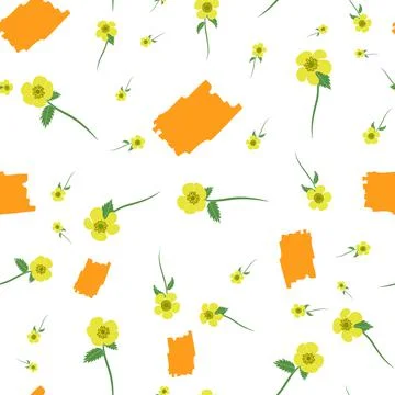 Buttercup flowers vector repeat pattern on white background Stock Illustration