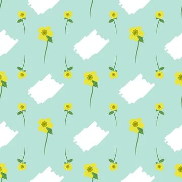 Buttercup flowers vector seamless pattern on pastel green background Stock Illustration