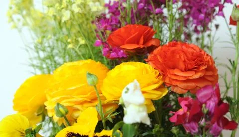Buttercup Stock Photos