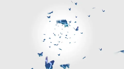 Butterflies 02 Stock Footage 27254199