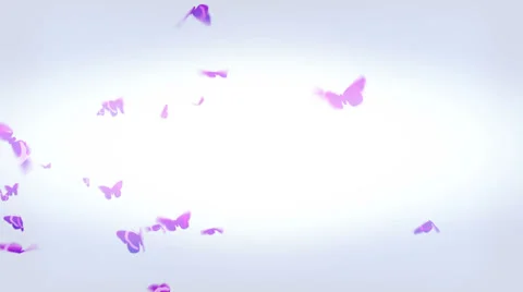 Butterflies 04 Video stock 27255434