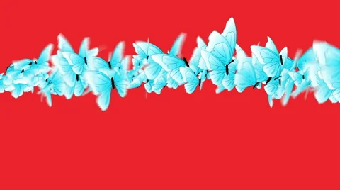 Butterflies 09b Stock Footage 62264172
